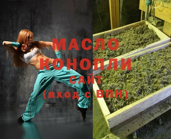шишки Новодвинск