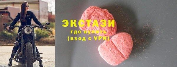 шишки Новодвинск